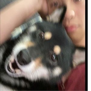 Meet your Posher, Derek